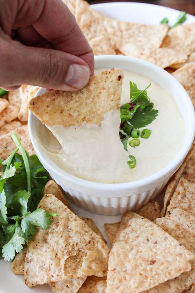 Cottage Cheese Queso Dip